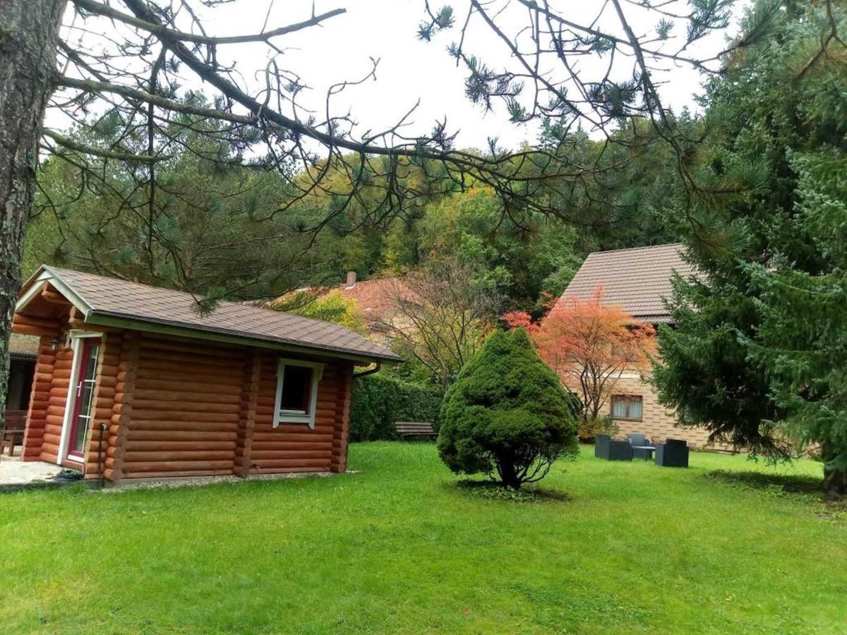 Haus Am Wolfsbach Appartement Zorge Buitenkant foto