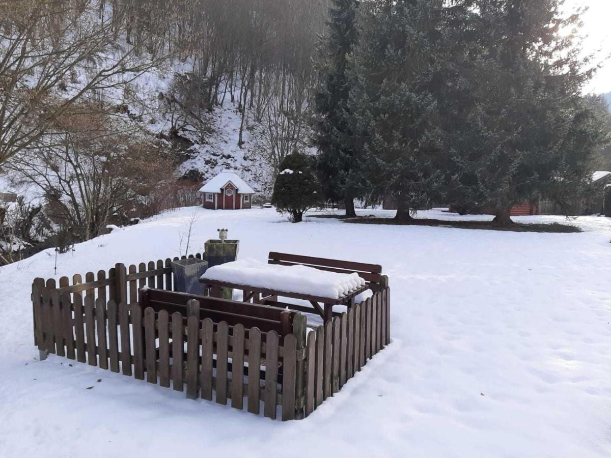 Haus Am Wolfsbach Appartement Zorge Buitenkant foto