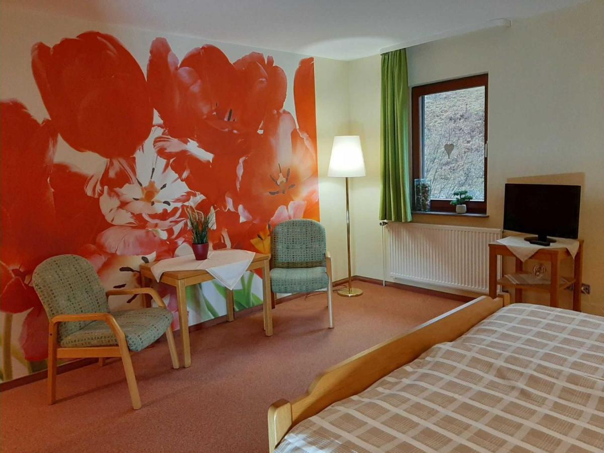 Haus Am Wolfsbach Appartement Zorge Buitenkant foto