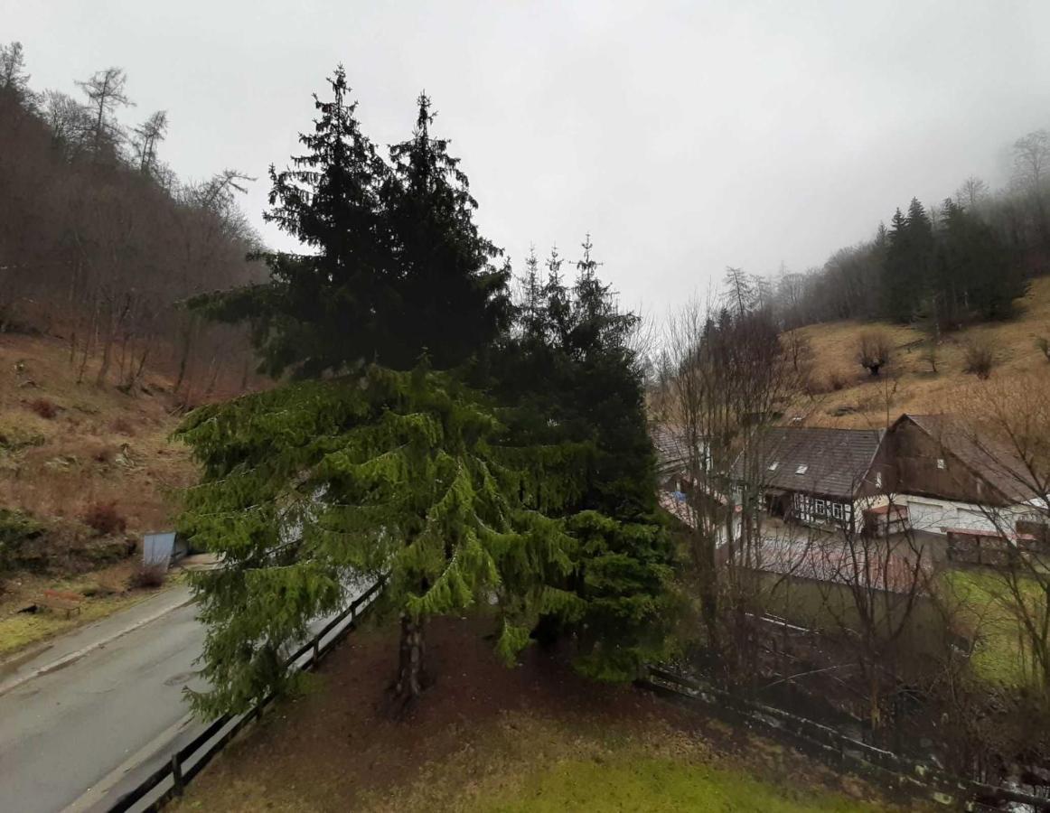 Haus Am Wolfsbach Appartement Zorge Buitenkant foto
